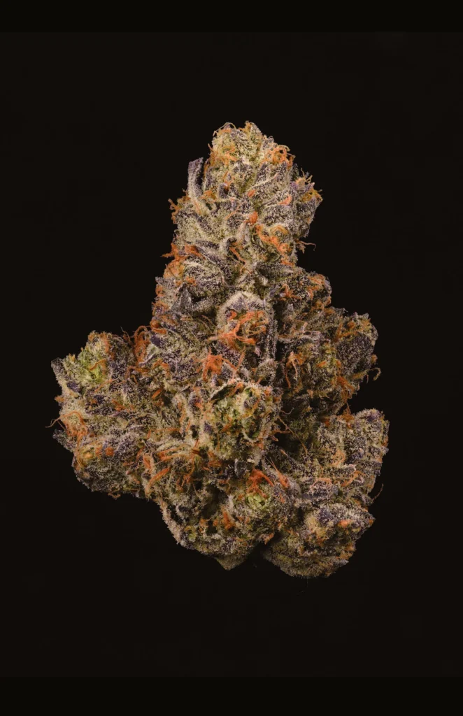 Buy Cookies F2 BERNIEHANA BUTTER X GSC