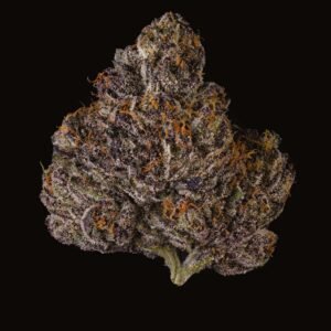 Buy Cookies G2 LANTZ X POM SHAKE