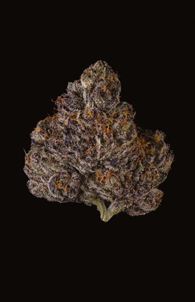 Buy Cookies G2 LANTZ X POM SHAKE