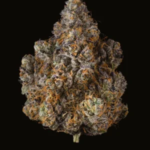 Buy Cookies G4 GARY X POM SHAKE