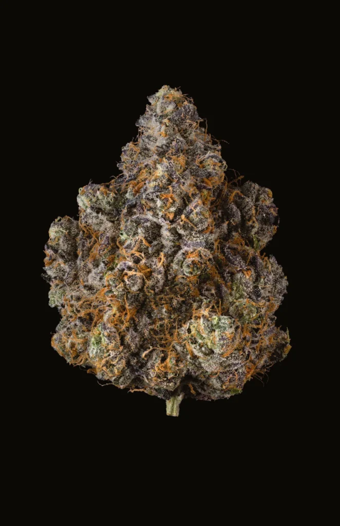 Buy Cookies G4 GARY X POM SHAKE