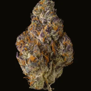 Buy Cookies H6 PRUNO X BLUEBERRY CAVIAR
