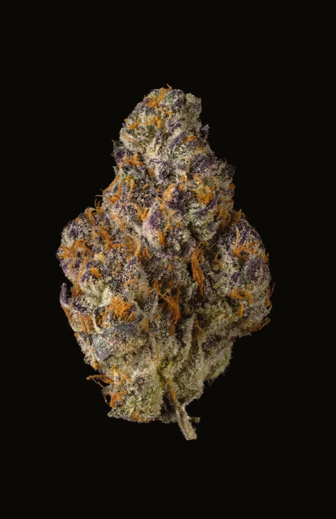 Buy Cookies H6 PRUNO X BLUEBERRY CAVIAR