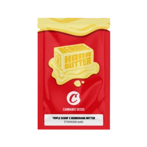 Buy Cookies Feminized Seeds Triple Scoop x Berniahana Butter